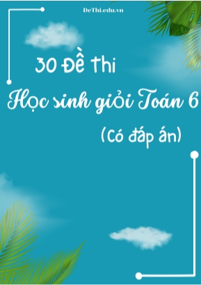 Bộ 30 Đề thi học sinh giỏi Toán Lớp 6 (Có đáp án)